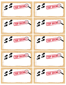 Spy Party Game Clues